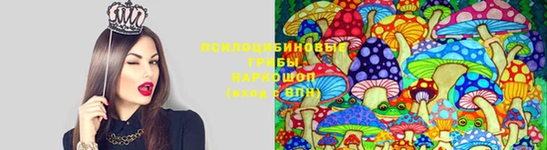 твердый Балабаново