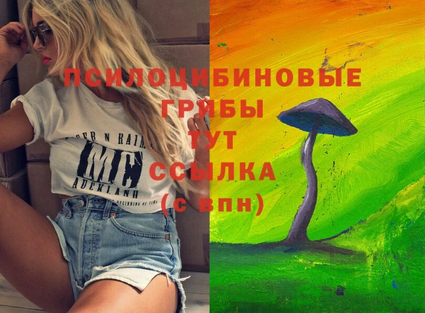 apvp Баксан