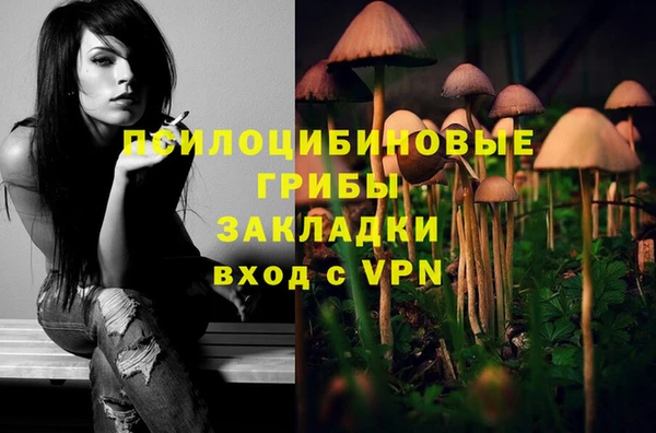 тгк Балахна