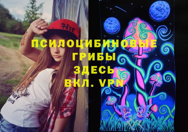 тгк Балахна